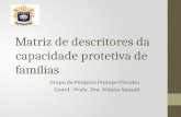 Matriz de descritores da capacidade protetiva de famílias Grupo de Pesquisa Protege Vínculos Coord.: Profa. Dra. Aldaíza Sposati.