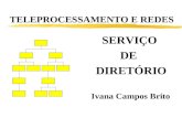 TELEPROCESSAMENTO E REDES SERVIÇO DE DIRETÓRIO Ivana Campos Brito.