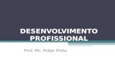DESENVOLVIMENTO PROFISSIONAL Prof. Ms. Felipe Pinho.