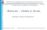 Prática Profissional II - 2006/1 Material Elaborado por: Profa. Edimara M. Luciano e Profa. Ionara Rech Disciplina: Prática Profissional II PONTIFÍCIA.