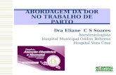 ABORDAGEM DA DOR NO TRABALHO DE PARTO Dra Eliane C S Soares Anestesiologista Hospital Municipal Odilon Behrens Hospital Vera Cruz.