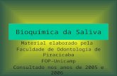 Bioquímica da Saliva Material elaborado pela Faculdade de Odontologia de Piracicaba FOP-Unicamp Consultado nos anos de 2005 e 2006.
