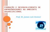 F ORMAÇÃO E D ESENVOLVIMENTO DE E MPREENDEDORES NO A MBIENTE O RGANIZACIONAL Prof. Dr. James Luiz Venturi.