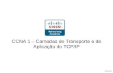 Kraemer CCNA 1 – Camadas de Transporte e de Aplicação do TCP/IP.