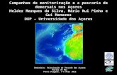 1 Campanhas de monitorização e a pescaria de demersais nos Açores Helder Marques da Silva, Mário Rui Pinho e Gui Menezes DOP – Universidade dos Açores.