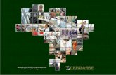 A CEBRASSE Missão Representar o Setor de Serviços, promovendo o seu desenvolvimento, valorização, visibilidade e credibilidade. Visão Ser reconhecidamente.