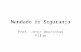Mandado de Segurança Prof. Jorge Boucinhas Filho.