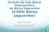 Apresentação do Site do Comitê da Sub-Bacia Hidrográfica do Baixo Jaguaribe (CSBH Baixo Jaguaribe) Igor Pimentel .