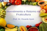 Investimento e Retorno na Fruticultura Prof. Dr. Ricardo Ayub.