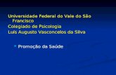 Universidade Federal do Vale do São Francisco Colegiado de Psicologia Luís Augusto Vasconcelos da Silva Promoção da Saúde.