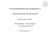 Procesamiento de minerales I Separação por meio denso Maria Luiza Souza Montevideo – Porto Alegre 12-16 Agosto 2013 1 UNIVERSIDADE DE LA REPUBLICA – URUGUAY.