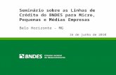 Seminário sobre as Linhas de Crédito do BNDES para Micro, Pequenas e Médias Empresas Belo Horizonte - MG 16 de junho de 2010.