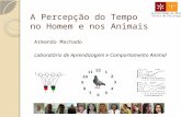 A Percepção do Tempo no Homem e nos Animais Armando Machado Laboratório de Aprendizagem e Comportamento Animal Universidade do Minho Escola de Psicologia.