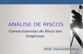 Gerenciamento do Risco em Empresas Prof. Fernando Pires ANÁLISE DE RISCOS.