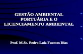 GESTÃO AMBIENTAL PORTUÁRIA E O LICENCIAMENTO AMBIENTAL Prof. M.Sc. Pedro Luiz Fuentes Dias.