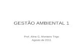 GESTÃO AMBIENTAL 1 Prof. Aline G. Monteiro Trigo Agosto de 2011.