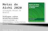 Situação Atual no Brasil Diálogos sobre Biodiversidade: construindo a estratégia brasileira para 2020 Ronaldo Weigand Jr., Ph.D.