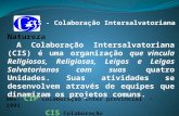 CIS - Colaboração Intersalvatoriana Natureza A Colaboração Intersalvatoriana (CIS) é uma organização que vincula Religiosos, Religiosas, Leigos e Leigas.