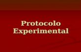 Protocolo Experimental. Material e Reagentes Procedimento A Procedimento A - Copos - Vareta de vidro - Vidro de relógio - Permanganato de potássio -