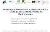Programa de Recursos Humanos ANP Nº43 Vanessa Limeira Azevedo Gomes, DSC I Orientador: Prof. Dr. Adriano dos Santos Modelagem Matemática e Experimental.