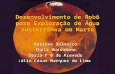 Desenvolvimento de Robô para Exploração de Água Subterrânea em Marte Gustavo Dalmarco Thaís Russomano Dario F G de Azevedo Júlio César Marques de Lima.