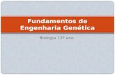 Biologia 12º ano Fundamentos de Engenharia Genética.
