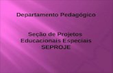 Departamento Pedagógico Seção de Projetos Educacionais Especiais SEPROJE.