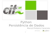 1 Python Persistência de Dados Marcel Pinheiro Caraciolo Python Aula 07.