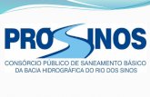 Em outubro de 2006 um dos mais graves desastres ambientais da história de nosso Estado atingiu o Rio dos Sinos. Esse desastre resultou de um crime ambiental.