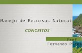 Manejo de Recursos Naturais CONCEITOS Prof. Fernando Pires.