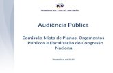 Audiência Pública Comissão Mista de Planos, Orçamentos Públicos e Fiscalização do Congresso Nacional Dezembro de 2013.