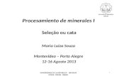 Procesamiento de minerales I Seleção ou cata Maria Luiza Souza Montevideo – Porto Alegre 12-16 Agosto 2013 1 UNIVERSIDADE DE LA REPUBLICA – URUGUAY UFRGS.