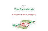 Vias Parenterais Professor: Gilmar de Moura Aula 21.