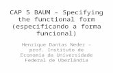 CAP 5 BAUM – Specifying the functional form (especificando a forma funcional) Henrique Dantas Neder – prof. Instituto de Economia da Universidade Federal.