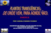 PROF. MARCELO TEIXEIRA PACHECO UNIVERSIDADE FEDERAL DO RIO GRANDE DO SUL FACULDADE DE AGRONOMIA DEPARTAMENTO DE PLANTAS DE LAVOURA PARTE III.