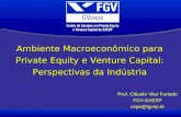 Ambiente Macroeconômico para Private Equity e Venture Capital: Perspectivas da Indústria Prof. Cláudio Vilar Furtado FGV-EAESP cepe@fgvsp.br.