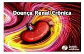 O que é a doença renal crónica? É uma doença que se caracteriza pela existência de lesão renal ou de diminuição do funcionamento dos rins e que pode conduzir.