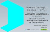 Serviço Geológico do Brasil – CPRM Geologia e Mineração em Pernambuco: Situação atual e perspectivas O conhecimento geológico do território de Pernambuco.