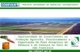 1  Oportunidade de Investimento na Produção Agrícola, Processamento e Exportação de Purê Asséptico de Abóbora e de Cenoura no Vale do.
