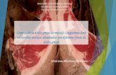 Composição de ácidos graxos do músculo Longissimus dorsi em novilhos mestiços alimentados com diferentes fontes de ácidos graxos Fabricio Souza, Pablo.
