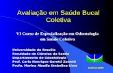 Avaliação em Saúde Bucal Coletiva VI Curso de Especialização em Odontologia em Saúde Coletiva Universidade de Brasília Faculdade de Ciências da Saúde.