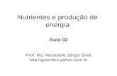 Nutrientes e produção de energia Aula 02 Prof. Ms. Alexandre Sérgio Silva .