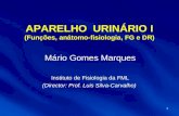 1 APARELHO URINÁRIO I (Funções, anátomo-fisiologia, FG e DR) Mário Gomes Marques Instituto de Fisiologia da FML (Director: Prof. Luis Silva-Carvalho)