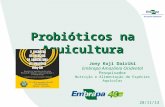 Probióticos na Aquicultura Jony Koji Dairiki Embrapa Amazônia Ocidental Pesquisador Nutrição e Alimentação de Espécies Aquícolas 28/11/13.