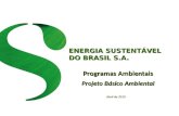 ENERGIA SUSTENTÁVEL DO BRASIL S.A. Programas Ambientais Projeto Básico Ambiental Abril de 2010.