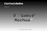 O Gadus Morhua -clicar para mudar de slide- Curiosidades...