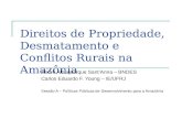 Direitos de Propriedade, Desmatamento e Conflitos Rurais na Amazônia André Albuquerque SantAnna – BNDES Carlos Eduardo F. Young – IE/UFRJ Sessão A – Políticas.