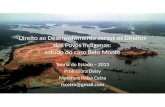 Direito ao Desenvolvimento versus os Direitos dos Povos Indígenas: estudo do caso Belo Monte Teoria do Estado – 2013 Professora Deisy Monitora Raísa Cetra.