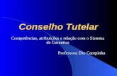 Conselho Tutelar Competências, atribuições e relação com o Sistema de Garantias Professora Ebe Campinha.