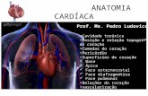ANATOMIA CARDÍACA Prof. Ms. Pedro Ludovico Cavidade toráxica Posição e relação topográfica do coração Camadas do coração Pericárdio Superfícies do coração.